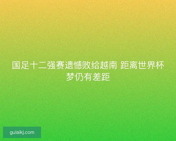 国足十二强赛遗憾败给越南 距离世界杯梦仍有差距